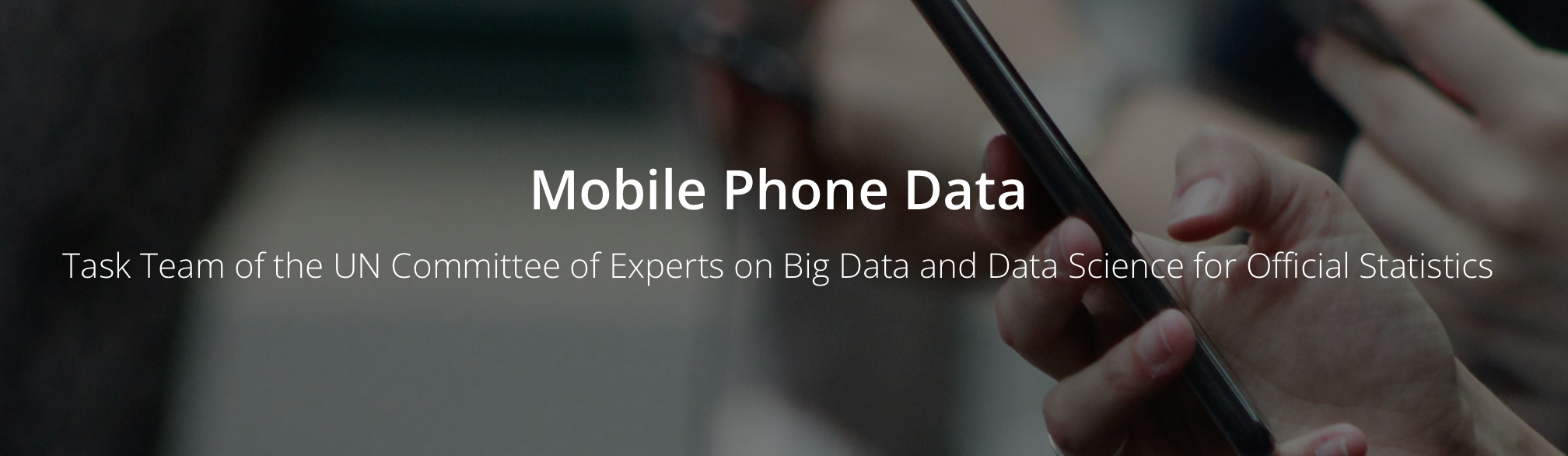 Human mobility network graphic